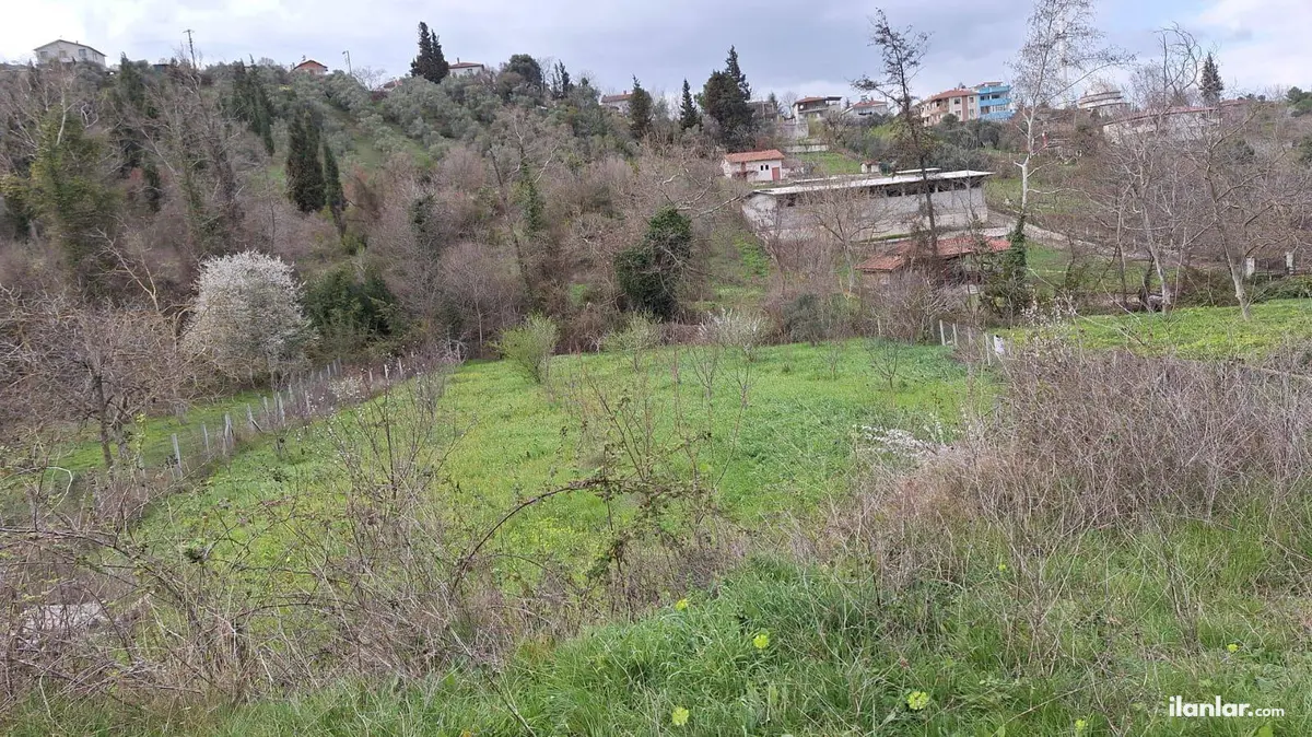 Yalova Altınova Kaytazdere, Merkez Mahallesi 1.585 m² satılık bağ & Bahçe arsa - Fotoğraf 3