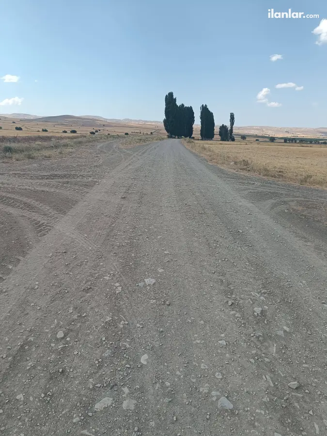 Sivas Merkez Güney Köyü Mahallesi 12.000 m² satılık tarla arsa - Fotoğraf 1