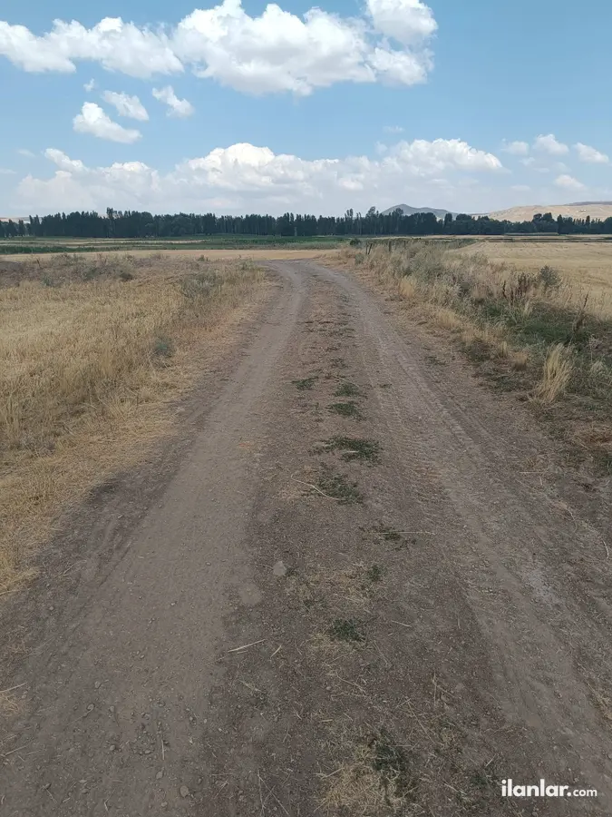 Sivas Merkez Güney Köyü Mahallesi 12.000 m² satılık tarla arsa - Fotoğraf 2