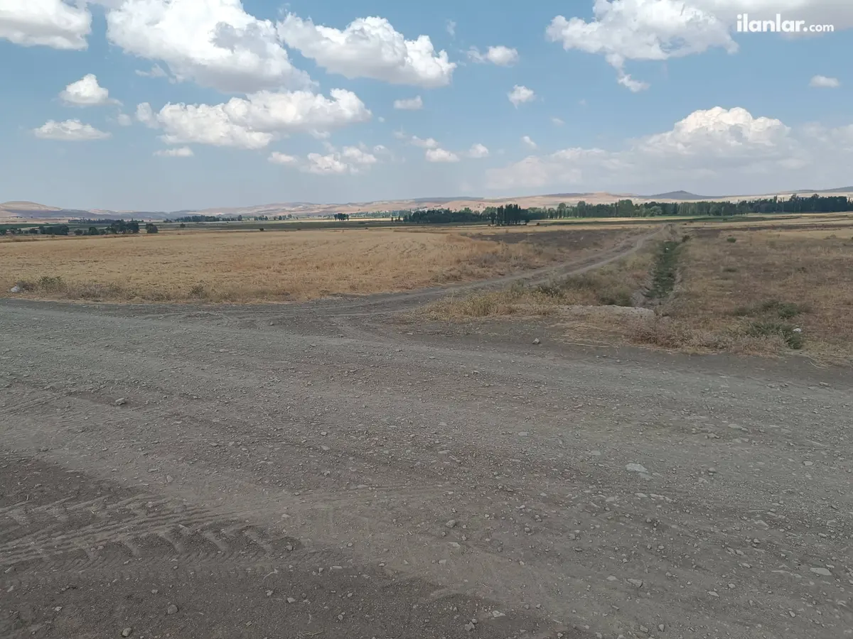 Sivas Merkez Güney Köyü Mahallesi 12.000 m² satılık tarla arsa - Fotoğraf 3
