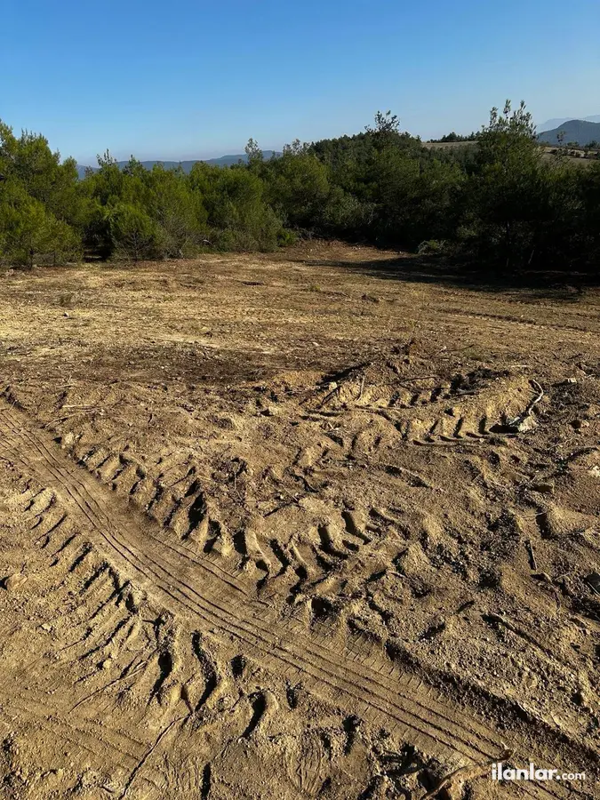 Bilecik Osmaneli Ericek Köyü Mahallesi 1.069 m² satılık zeytinlik arsa - Fotoğraf 2