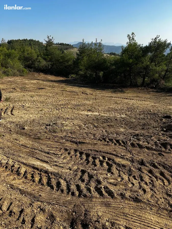 Bilecik Osmaneli Ericek Köyü Mahallesi 1.069 m² satılık zeytinlik arsa - Fotoğraf 3