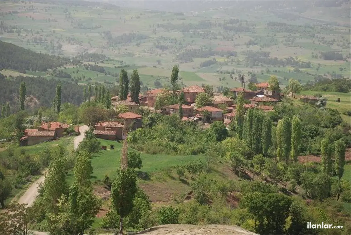Bilecik Gölpazarı Bayat Köyü Mahallesi 4.375 m² satılık tarla arsa - Fotoğraf 2