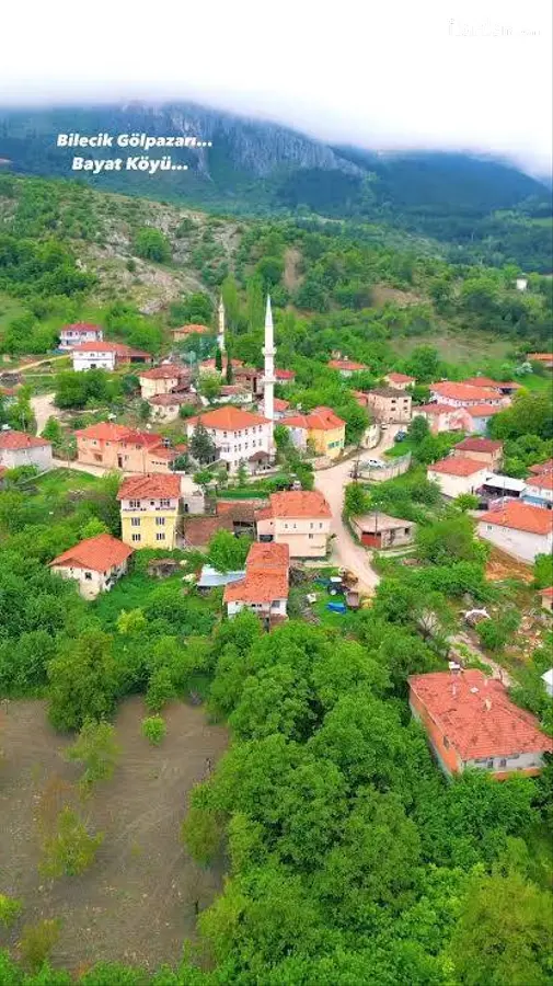 Bilecik Gölpazarı Bayat Köyü Mahallesi 4.375 m² satılık tarla arsa - Fotoğraf 3