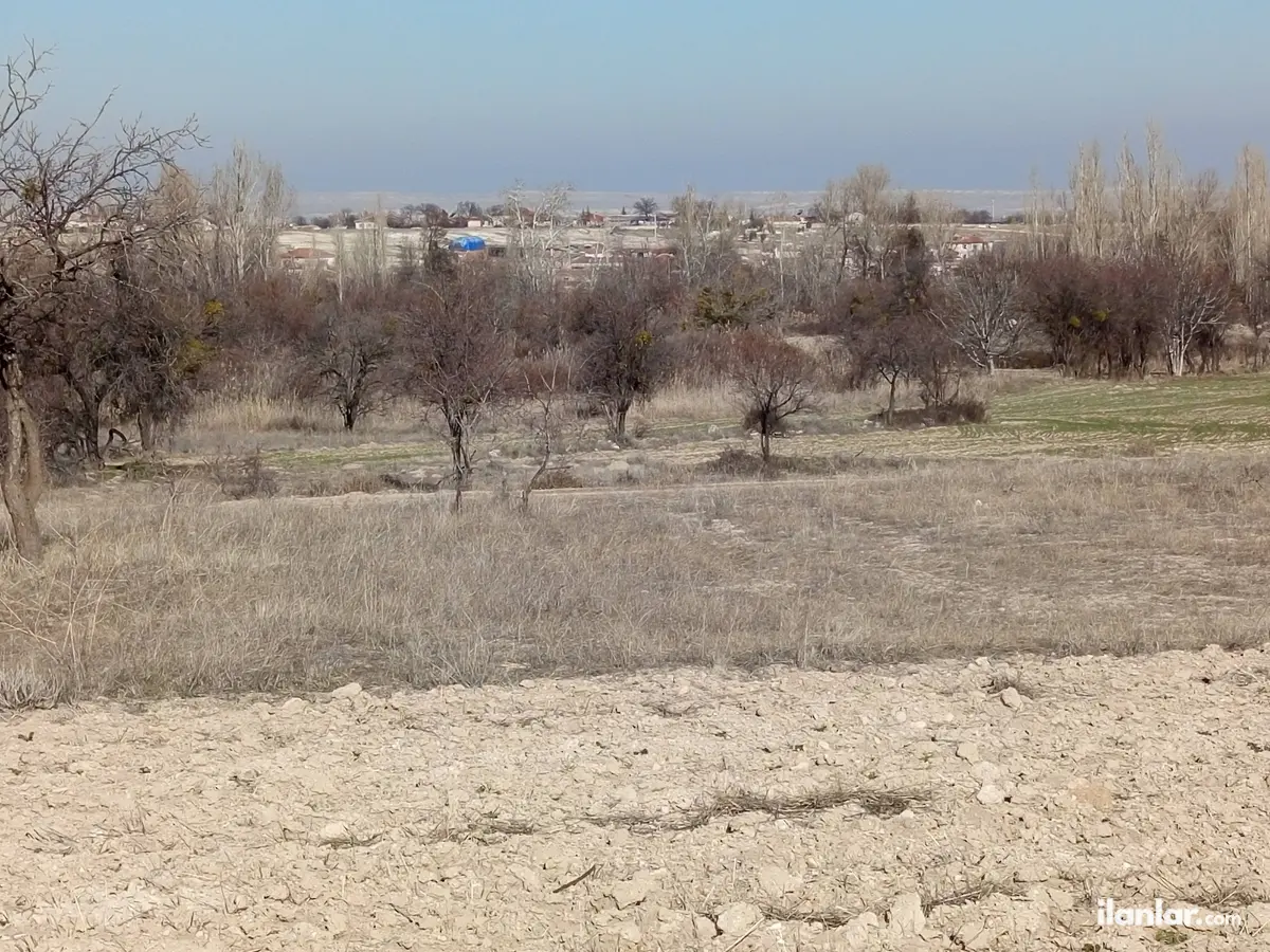 Eskişehir Günyüzü Ayvalı Mahallesi 3.000 m² satılık tarla arsa - Fotoğraf 1
