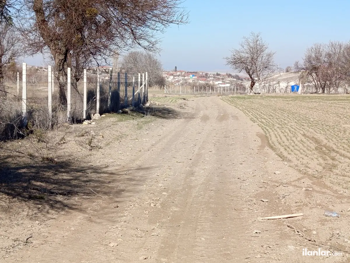 Eskişehir Günyüzü Ayvalı Mahallesi 3.000 m² satılık tarla arsa - Fotoğraf 2