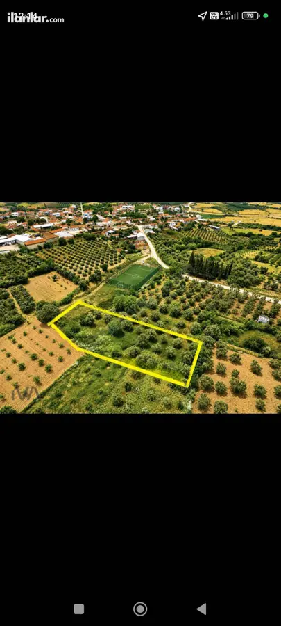 Bursa Karacabey Çavuş Mahallesi 1.365 m² satılık zeytinlik arsa - Fotoğraf 1