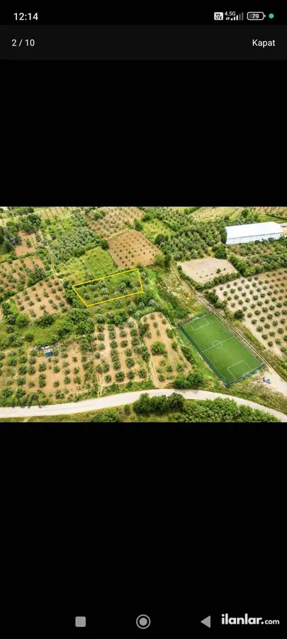 Bursa Karacabey Çavuş Mahallesi 1.365 m² satılık zeytinlik arsa - Fotoğraf 2