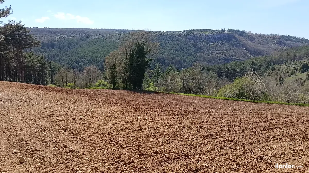 Bilecik Merkez Gökpınar Köyü Mahallesi 13.641 m² satılık tarla arsa - Fotoğraf 2