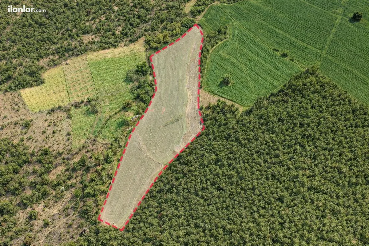 Bilecik Merkez Gökpınar Köyü Mahallesi 13.641 m² satılık tarla arsa - Fotoğraf 3