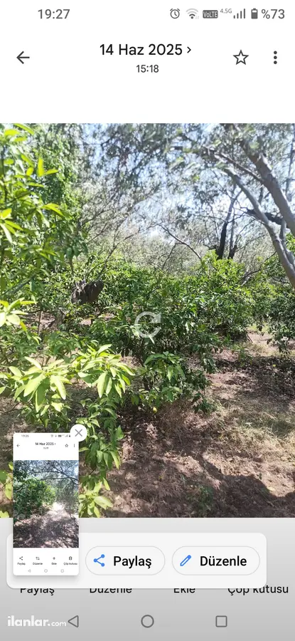 Balıkesir Edremit Zeytinli Mahallesi 2.548 m² satılık tarla arsa - Fotoğraf 2