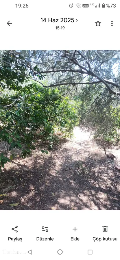 Balıkesir Edremit Zeytinli Mahallesi 2.548 m² satılık tarla arsa - Fotoğraf 3