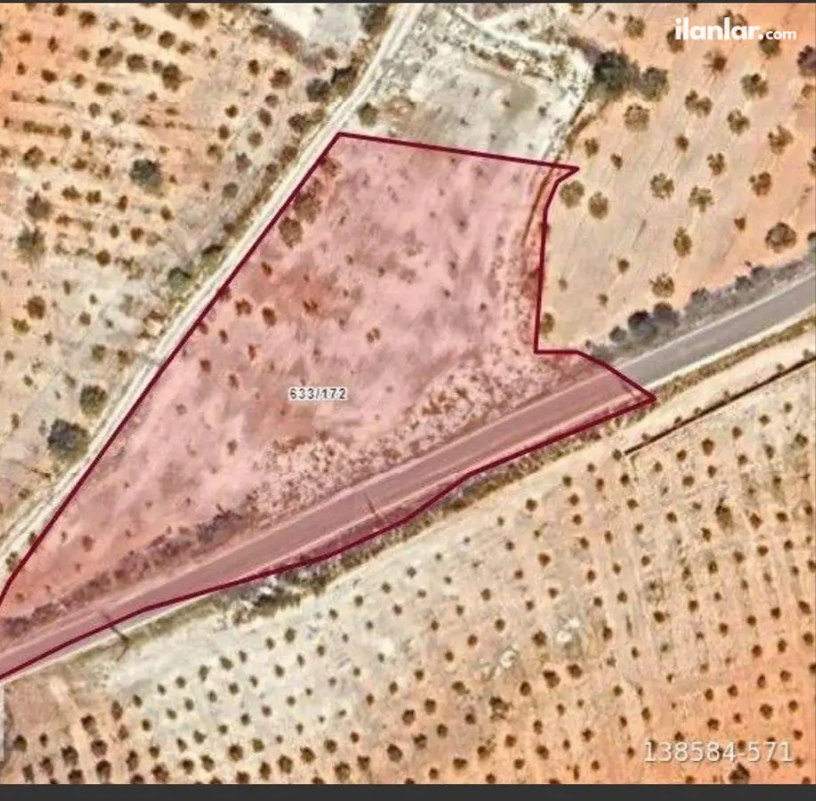 Gaziantep Oğuzeli Subaşı Mahallesi 1.200 m² satılık zeytinlik arsa - Fotoğraf 3