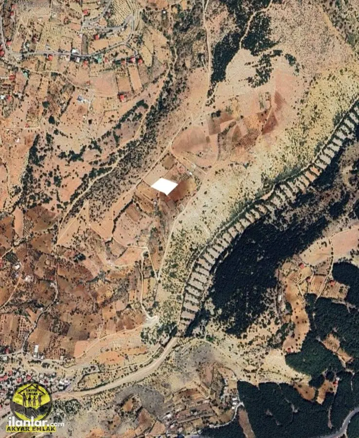 Kahramanmaraş Dulkadiroğlu Dereli Mahallesi 3.000 m² satılık bağ & Bahçe arsa - Fotoğraf 3