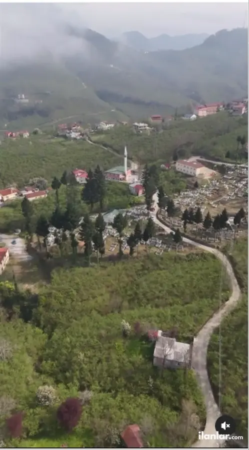 Giresun Görele Güneyköy Köyü Mahallesi 1.170 m² satılık bağ & Bahçe arsa - Fotoğraf 2