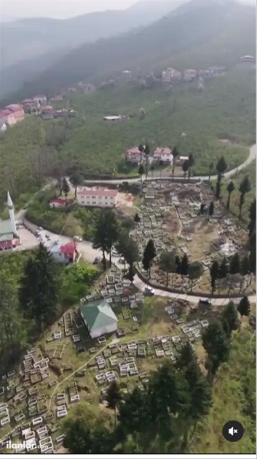 Giresun Görele Güneyköy Köyü Mahallesi 1.170 m² satılık bağ & Bahçe arsa - Fotoğraf 3