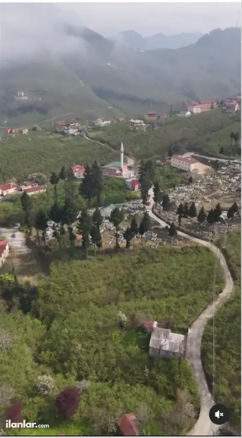 Giresun Görele Güneyköy, Cınbatlı Mahallesi 969 m² satılık bağ & Bahçe arsa - Fotoğraf 2