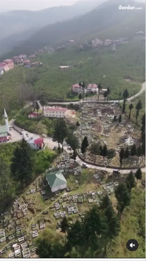 Giresun Görele Güneyköy, Cınbatlı Mahallesi 969 m² satılık bağ & Bahçe arsa - Fotoğraf 3