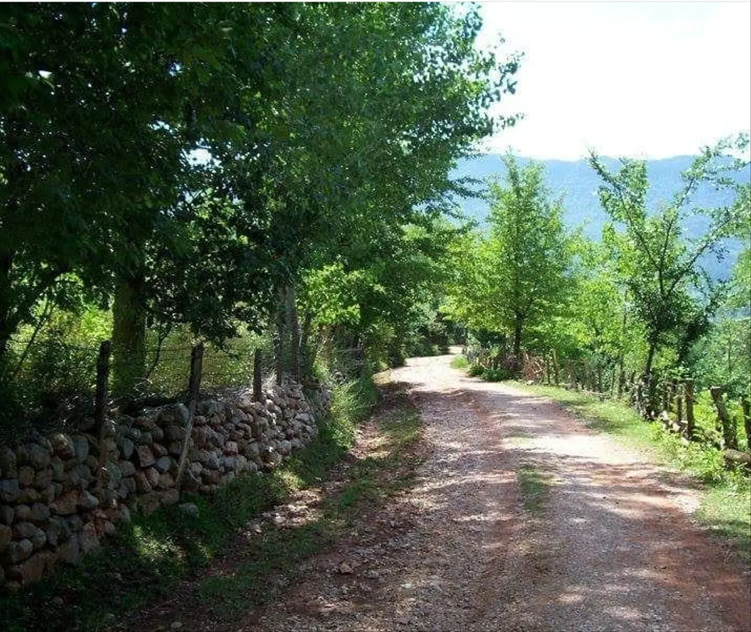 Kastamonu Cide Yıldızalan, Yıldızalan Mahallesi 17.640 m² satılık tarla arsa - Fotoğraf 1