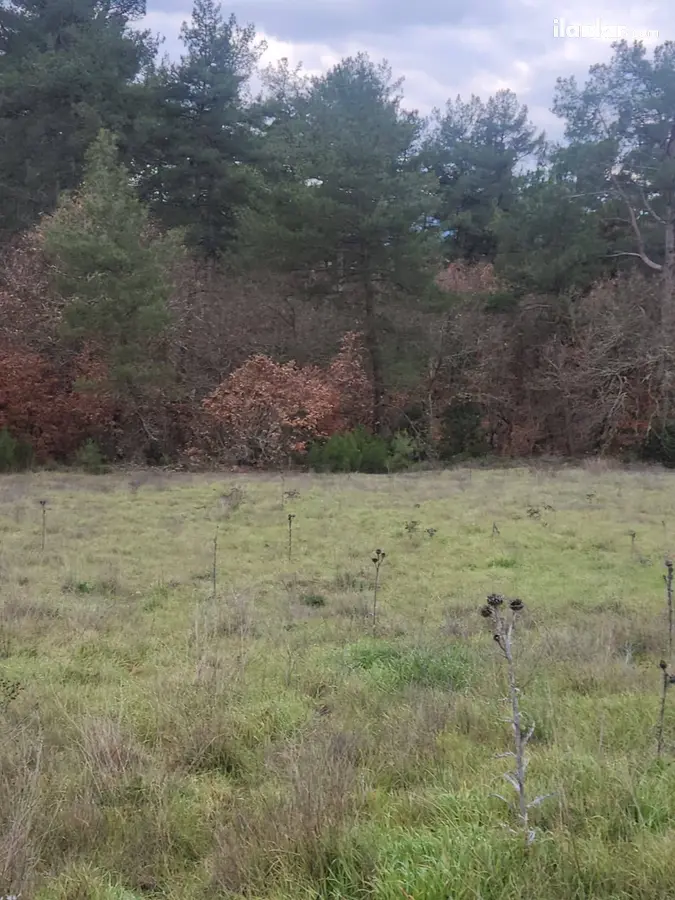 Çanakkale Yenice Bağlı Köyü Mahallesi 2.630 m² satılık çiftlik arsa - Fotoğraf 1
