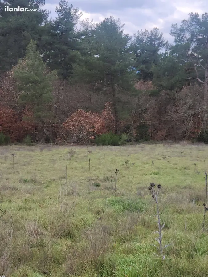 Çanakkale Yenice Bağlı Köyü Mahallesi 2.630 m² satılık çiftlik arsa - Fotoğraf 3