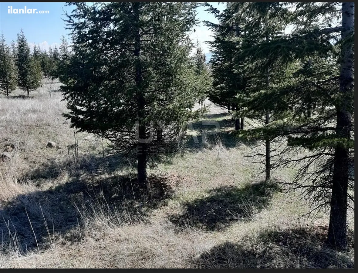 Ankara Polatlı Karayavşan Mahallesi 2.020 m² satılık çiftlik arsa - Fotoğraf 1