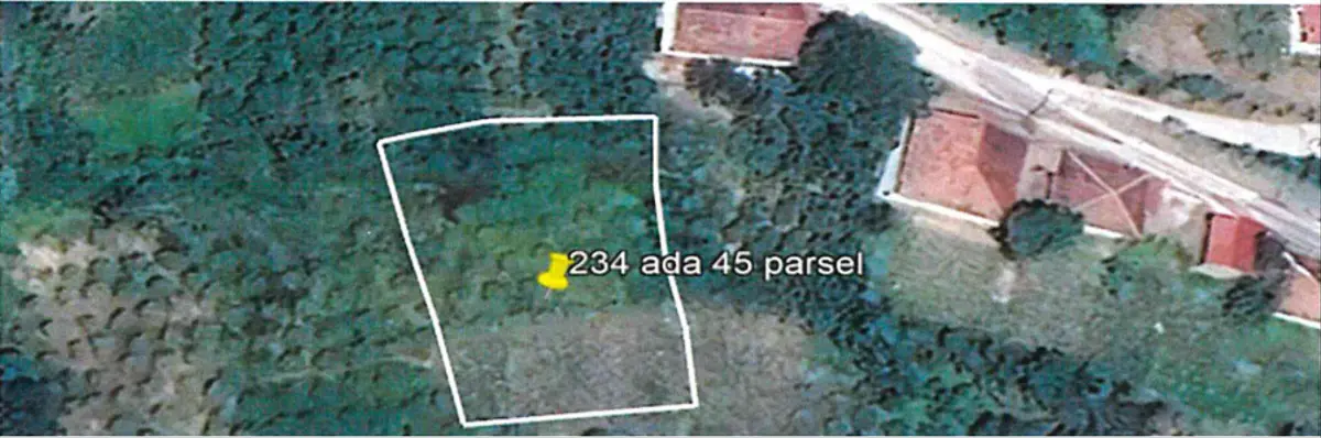 Ordu Aybastı Toygar Mahallesi 1.075 m² satılık çiftlik arsa - Fotoğraf 3