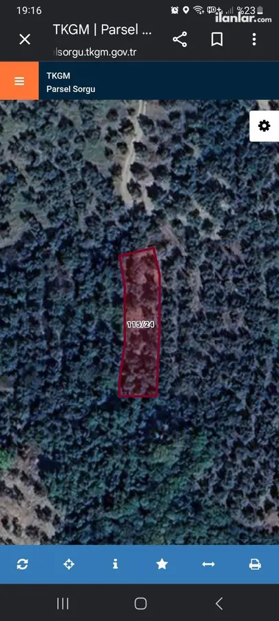 Bursa Orhangazi Gemiç Mahallesi 437 m² satılık zeytinlik arsa - Fotoğraf 3