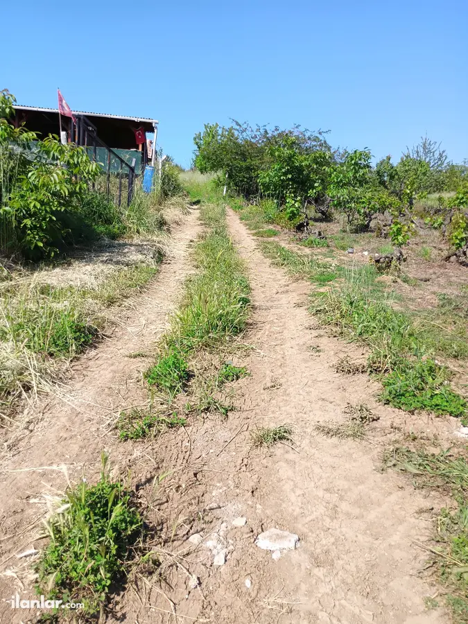 Sakarya Geyve Günhoşlar Mahallesi 360 m² satılık bağ & Bahçe arsa - Fotoğraf 2