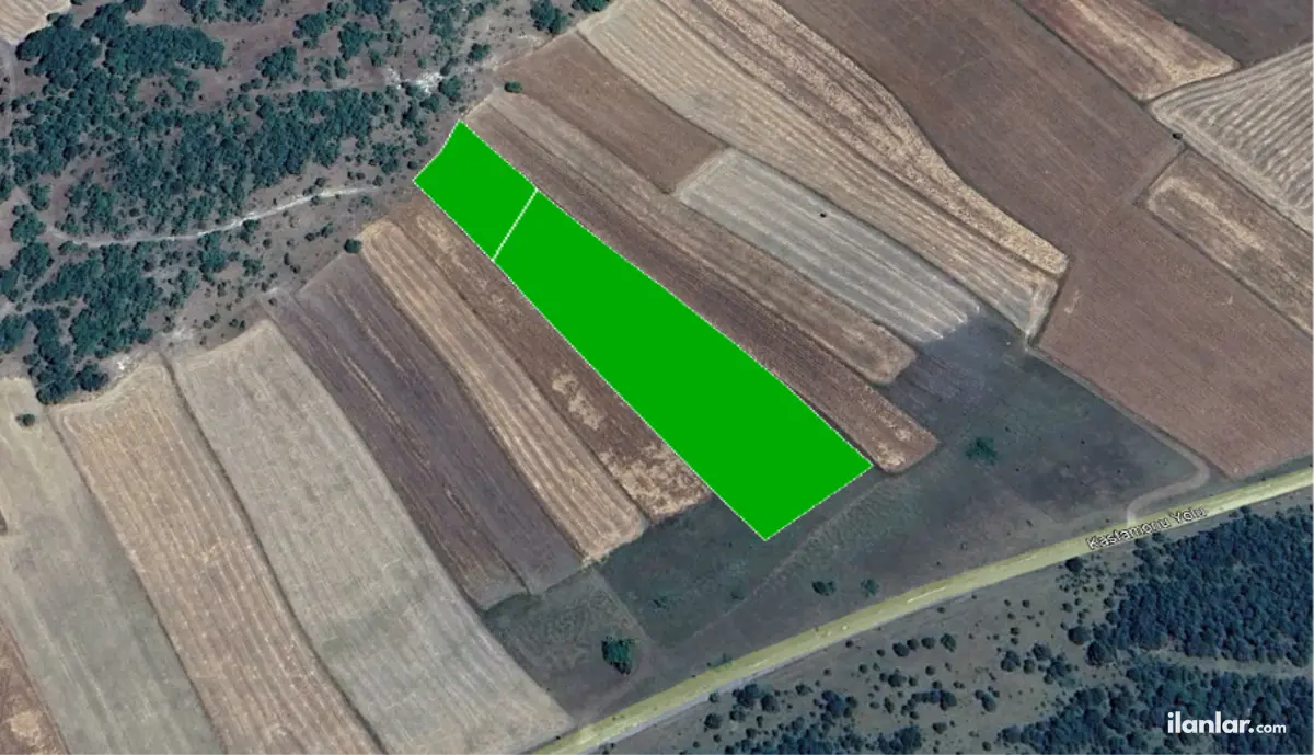 Kastamonu Merkez İbişler, Kadı Mahallesi 14.000 m² satılık tarla arsa - Fotoğraf 1