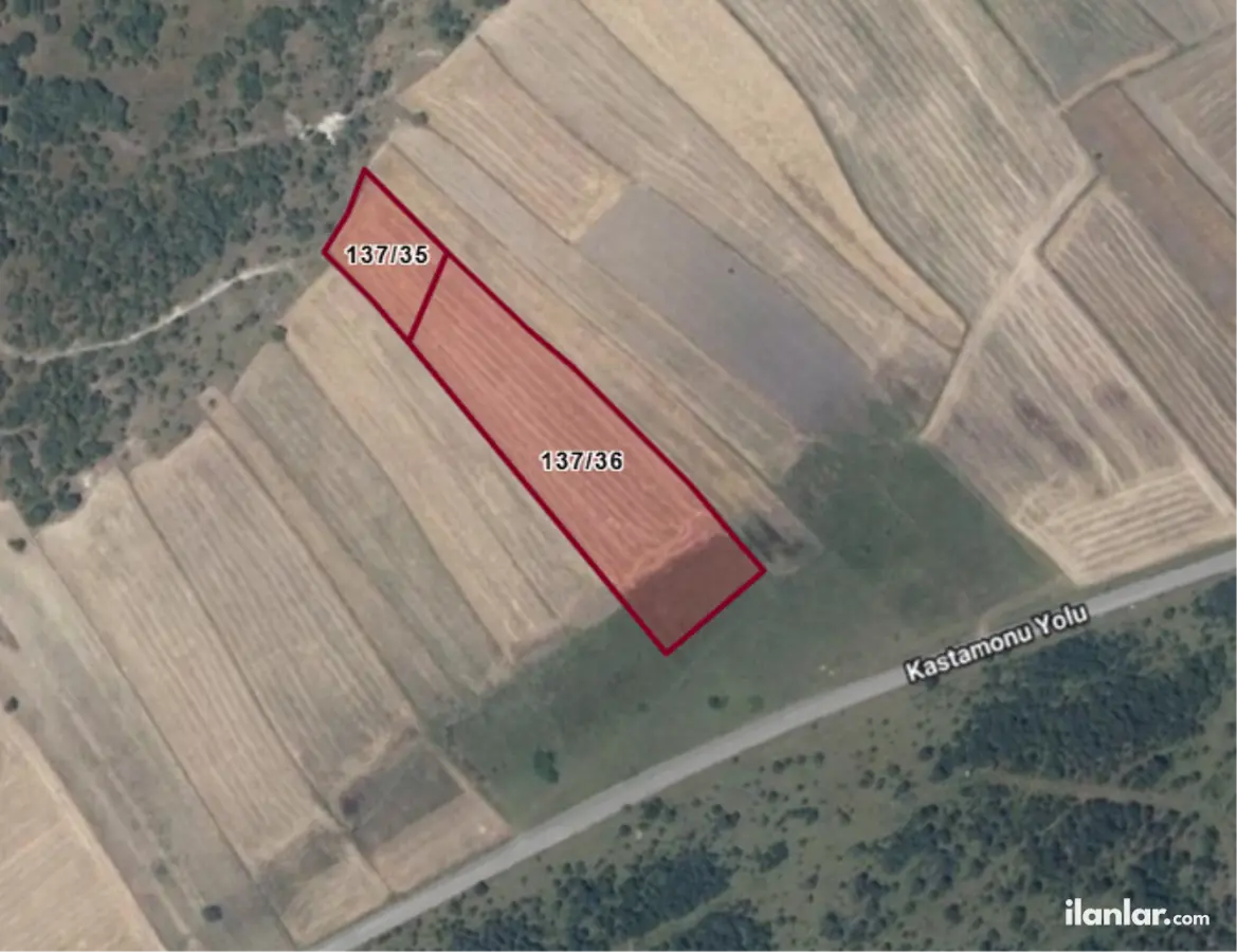 Kastamonu Merkez İbişler, Kadı Mahallesi 14.000 m² satılık tarla arsa - Fotoğraf 3