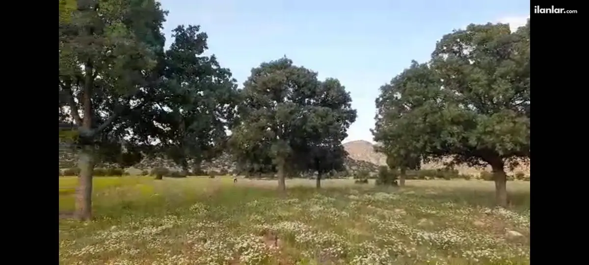 Antalya Korkuteli Avdan Mahallesi 3.972 m² satılık tarla arsa - Fotoğraf 1
