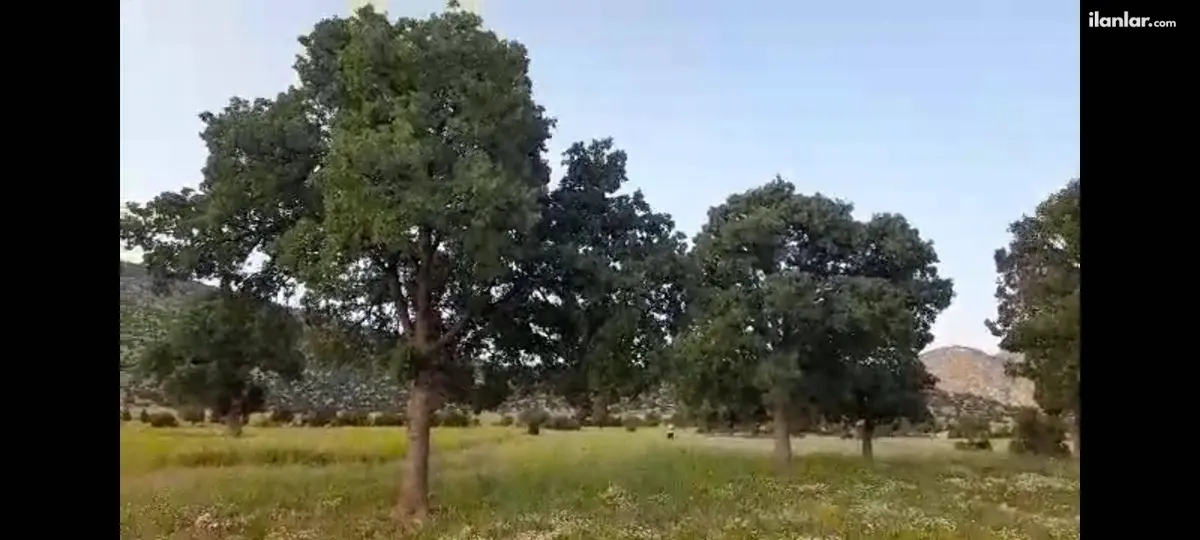 Antalya Korkuteli Avdan Mahallesi 3.972 m² satılık tarla arsa - Fotoğraf 2