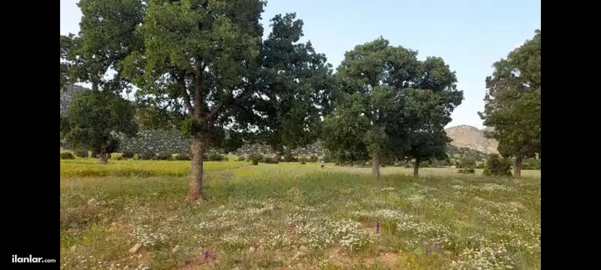 Antalya Korkuteli Avdan Mahallesi 3.972 m² satılık tarla arsa - Fotoğraf 3