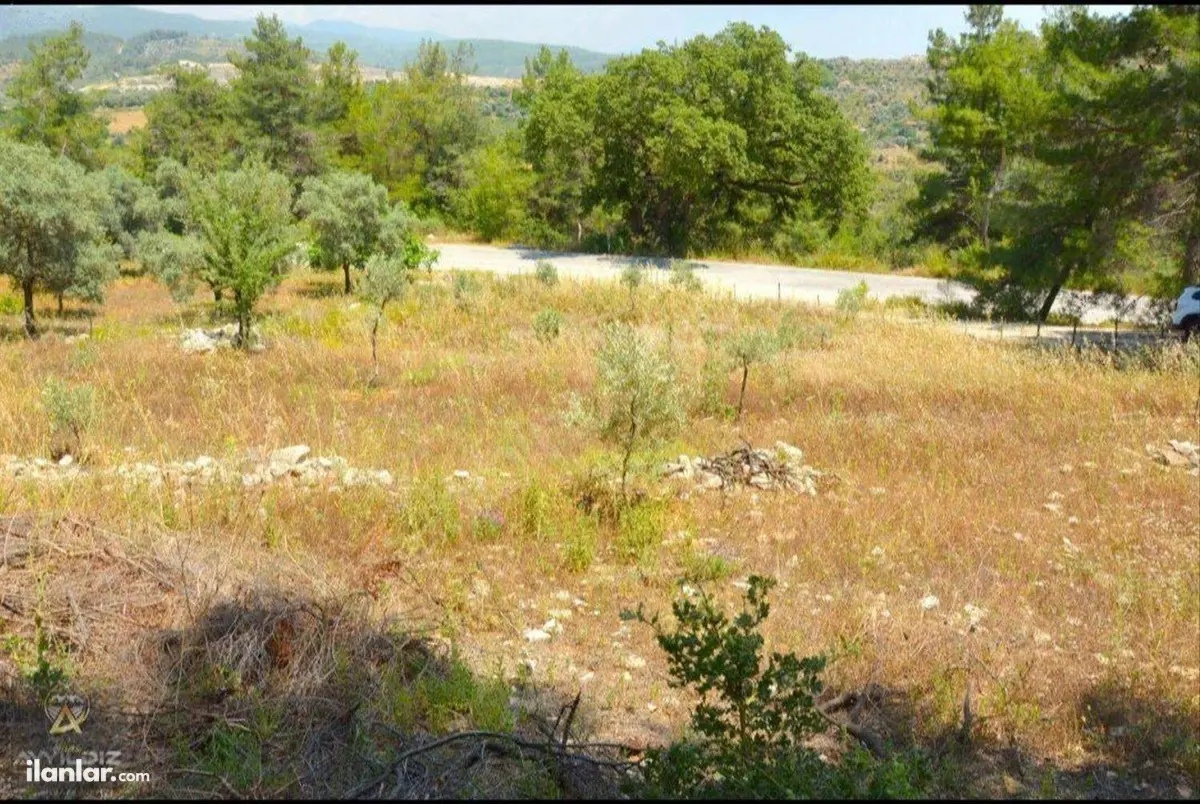 Muğla Milas Çakıralan Mahallesi 855 m² satılık tarla arsa - Fotoğraf 2