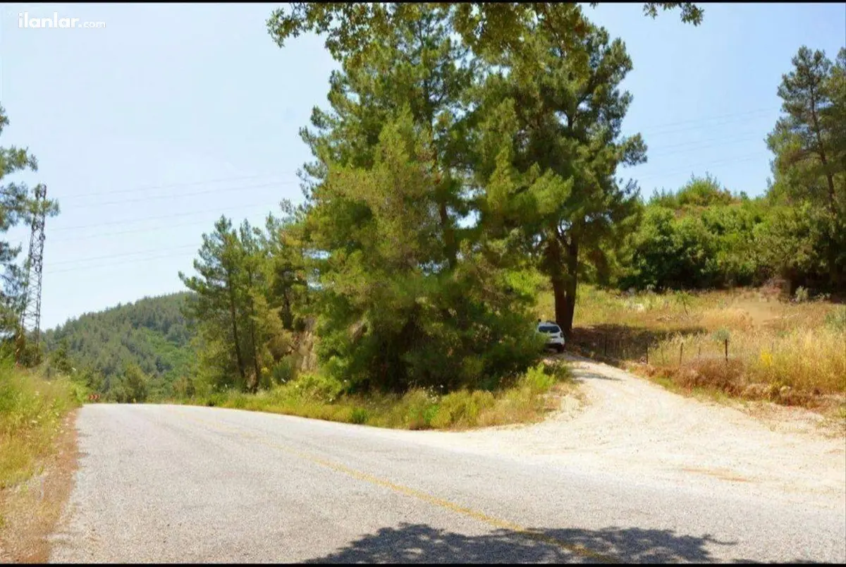 Muğla Milas Çakıralan Mahallesi 855 m² satılık tarla arsa - Fotoğraf 3