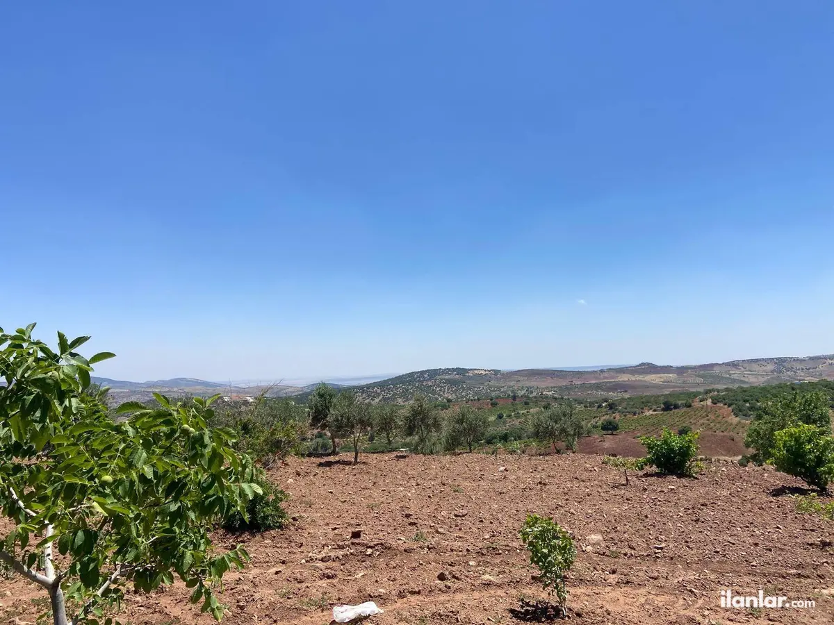 Kahramanmaraş Pazarcık Taşdemir Mahallesi 40.000 m² satılık bağ & Bahçe arsa - Fotoğraf 2
