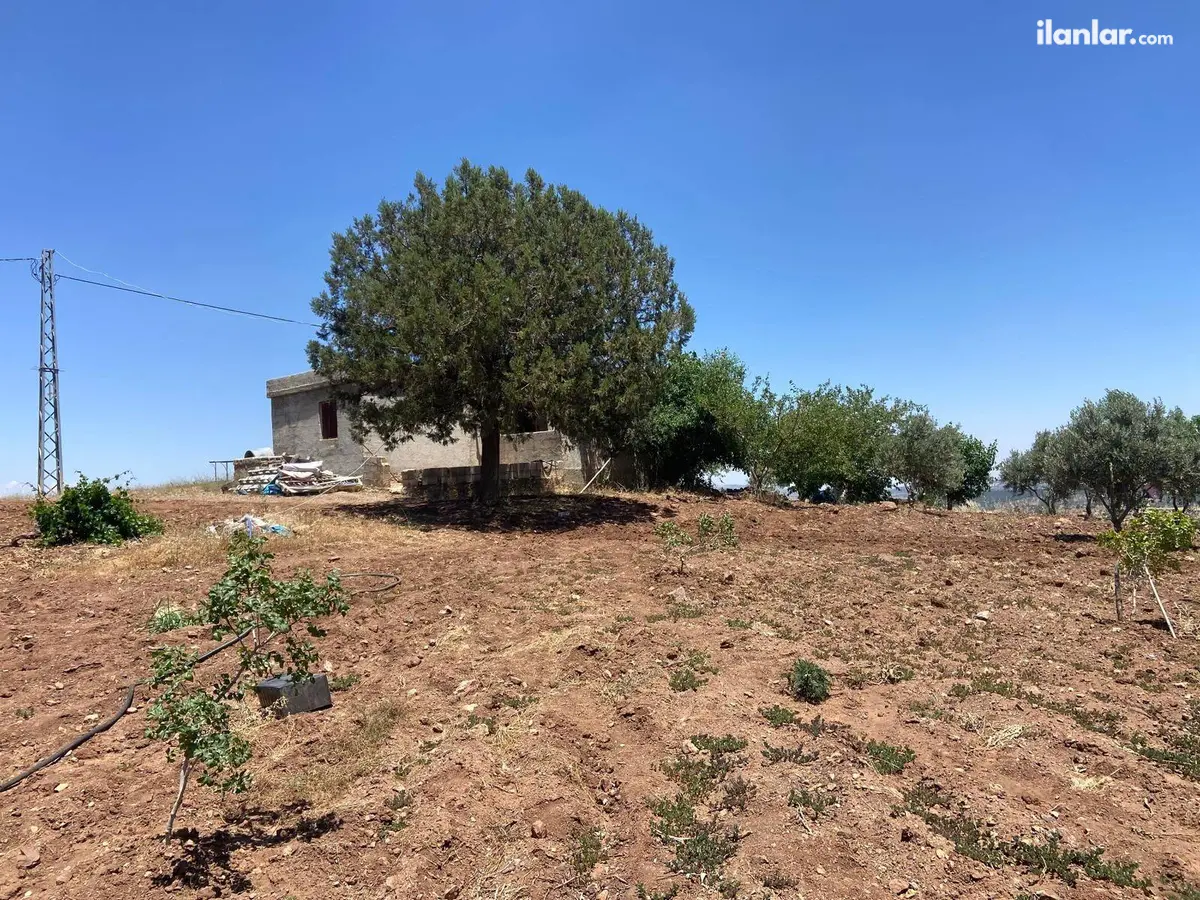 Kahramanmaraş Pazarcık Taşdemir Mahallesi 40.000 m² satılık bağ & Bahçe arsa - Fotoğraf 3