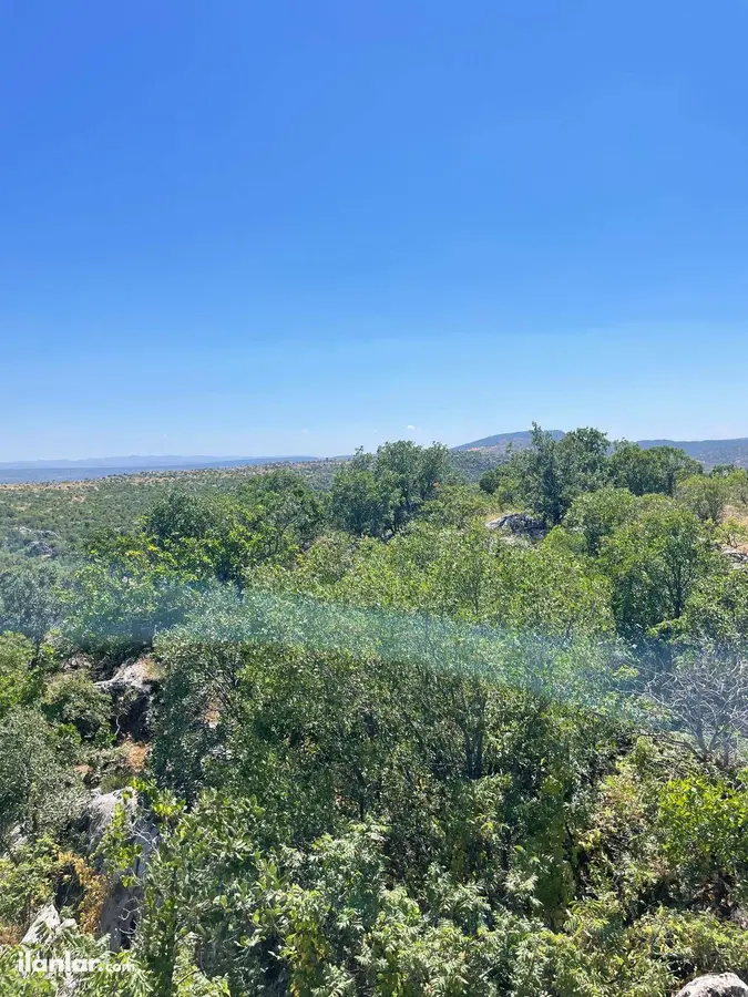 Kahramanmaraş Pazarcık Tilkiler Mahallesi 21.978 m² satılık bağ & Bahçe arsa - Fotoğraf 3