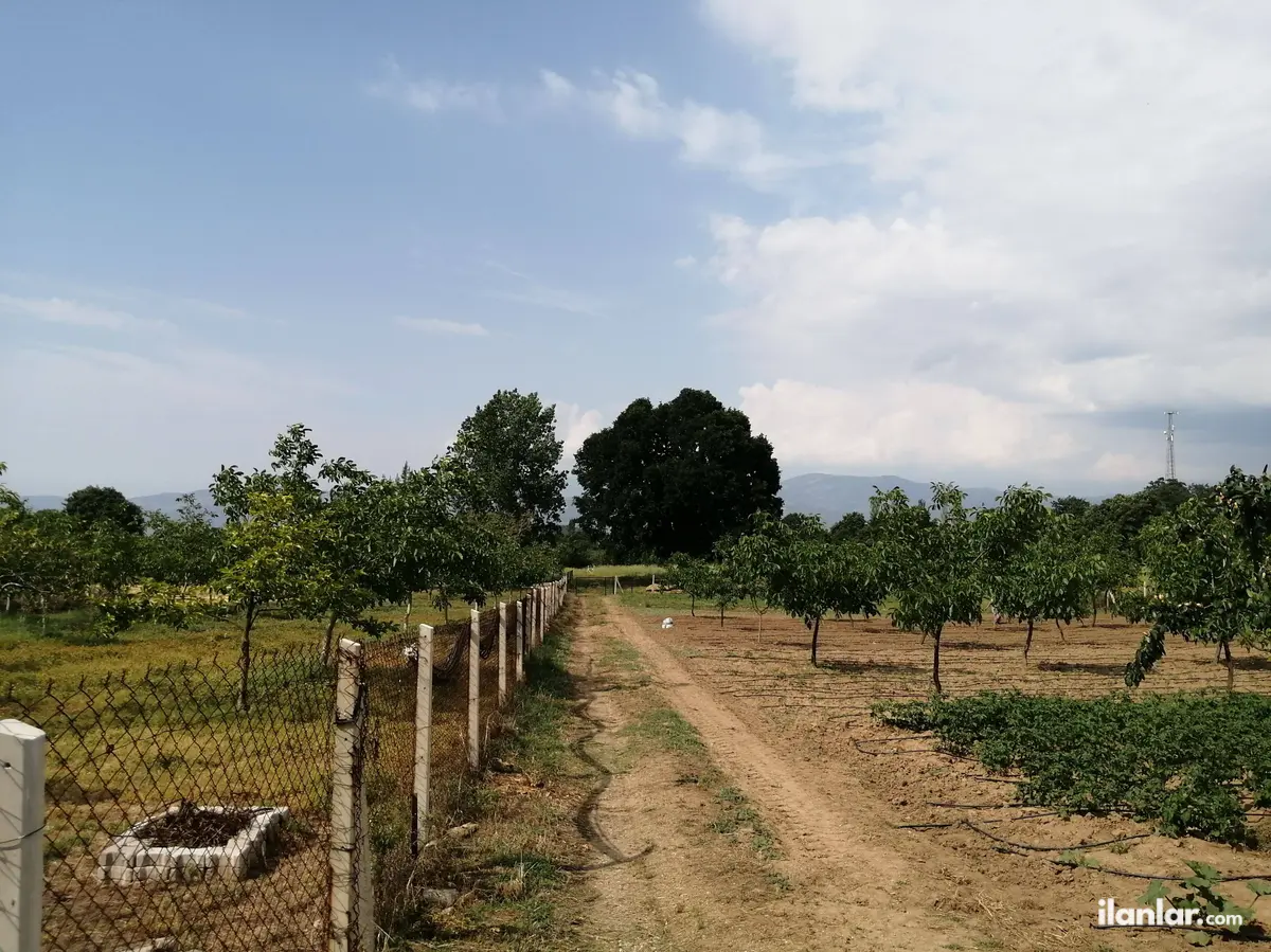 Bursa Orhaneli Karaoğlanlar Mahallesi 19.919 m² satılık tarla arsa - Fotoğraf 3