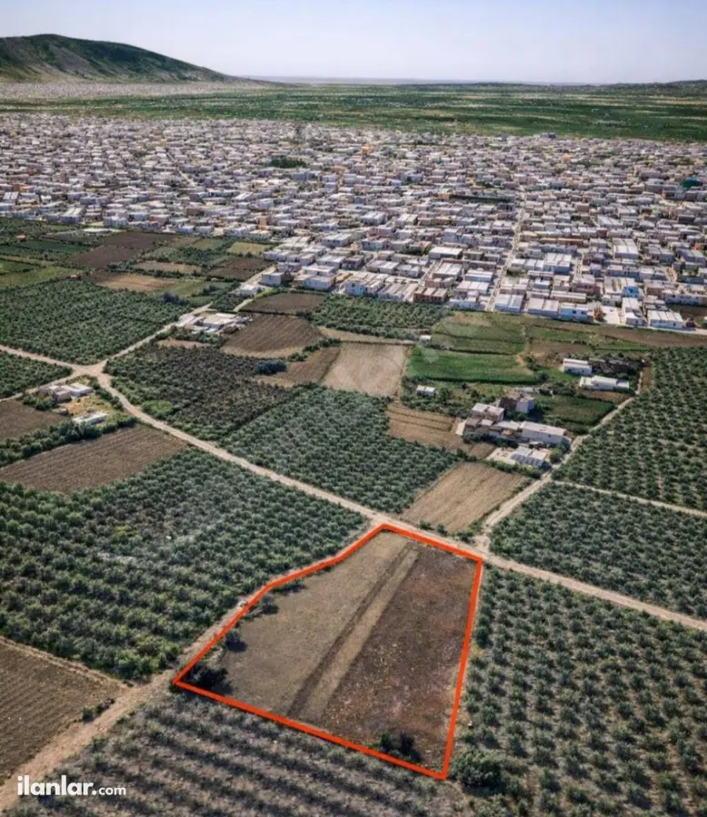 Bursa Gürsu İstiklal Mahallesi 5.440 m² satılık tarla arsa - Fotoğraf 1