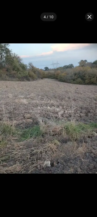 Balıkesir Gönen Turplu Mahallesi 6.800 m² satılık tarla arsa - Fotoğraf 1