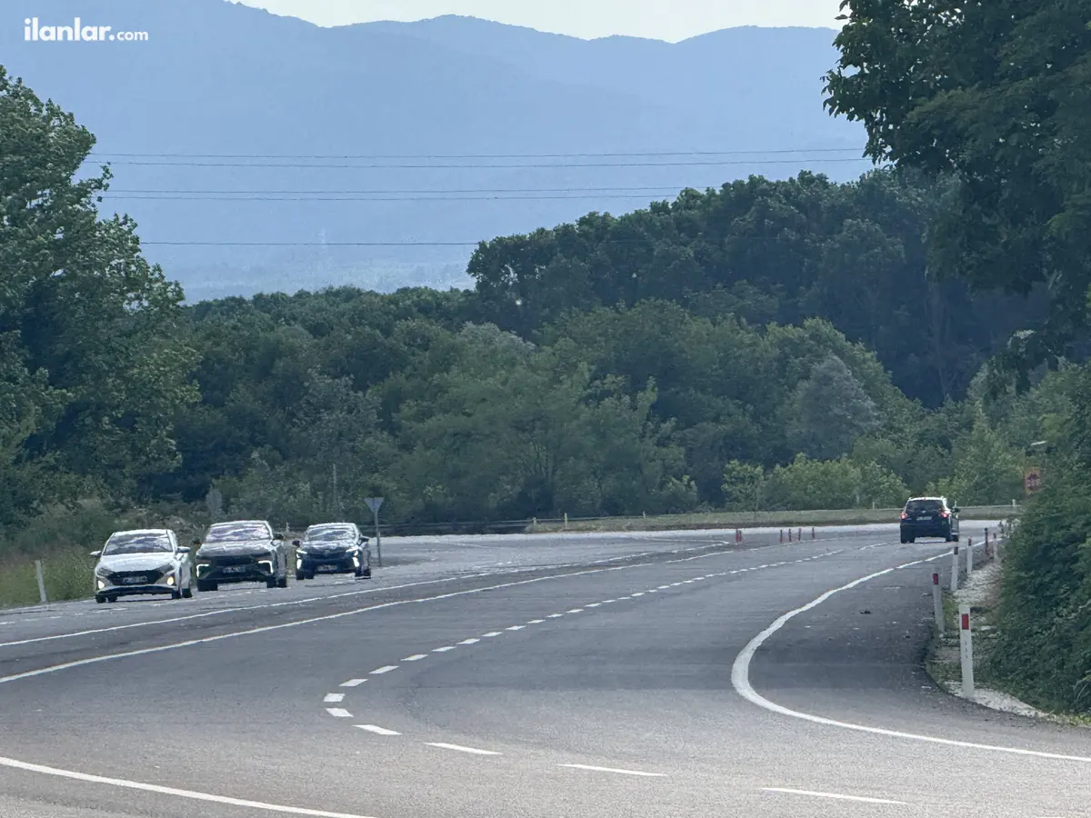 Sakarya Akyazı Yahyalı Mahallesi 20.642 m² satılık tarla arsa - Fotoğraf 3