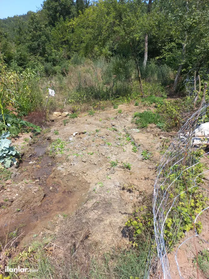 Bursa İnegöl Cemiyet Mahallesi 55 m² satılık bağ & Bahçe arsa - Fotoğraf 1