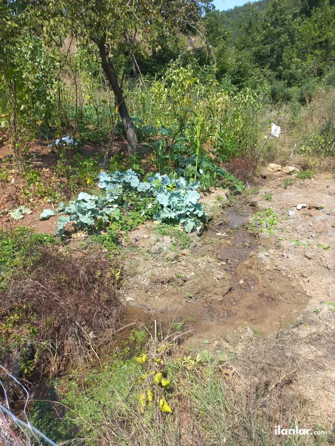 Bursa İnegöl Cemiyet Mahallesi 55 m² satılık bağ & Bahçe arsa - Fotoğraf 3