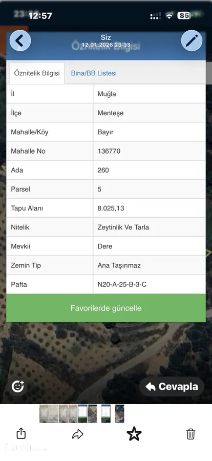 Muğla Menteşe Bayır Mahallesi 8.025 m² satılık çiftlik arsa - Fotoğraf 1