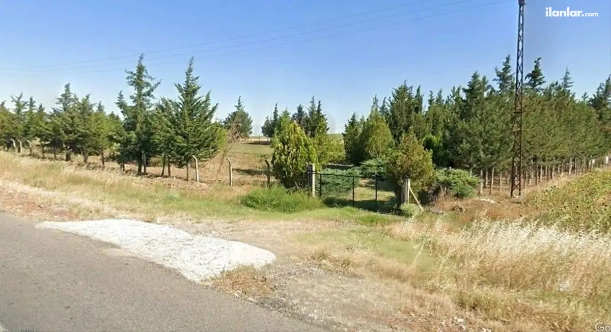 Kırklareli Babaeski Pancarköy Köyü Mahallesi 4.728 m² satılık tarla arsa - Fotoğraf 3