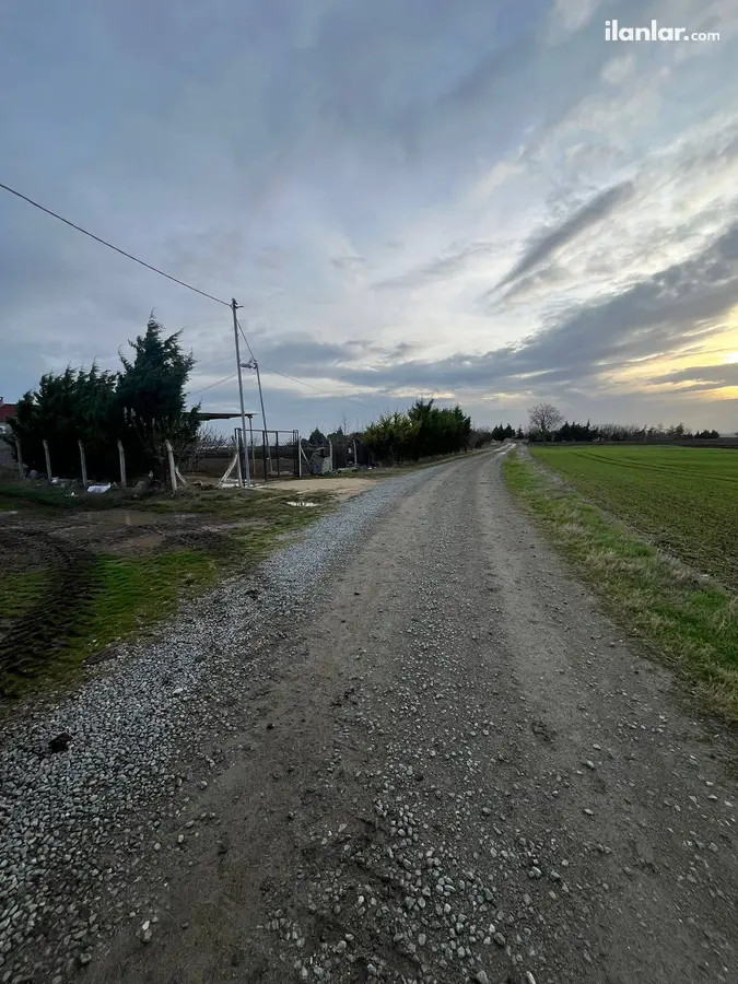 Tekirdağ Saray Sofular Mahallesi 465 m² satılık tarla arsa - Fotoğraf 3