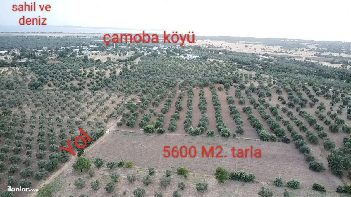 Çanakkale Ezine Çamoba Köyü Mahallesi 5.600 m² satılık tarla arsa - Fotoğraf 1
