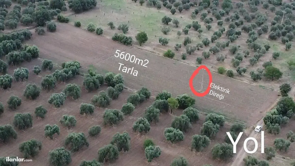 Çanakkale Ezine Çamoba Köyü Mahallesi 5.600 m² satılık tarla arsa - Fotoğraf 2